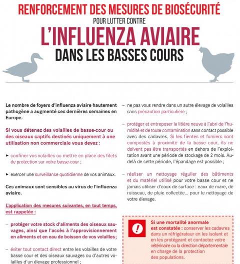 Mesures aviaires